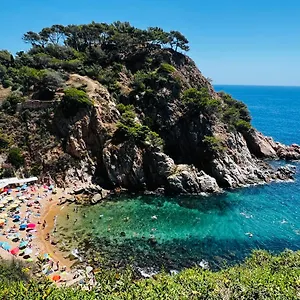 https://encantador-apartamento-en-tossa-de-mar.topcostabravahotels.com